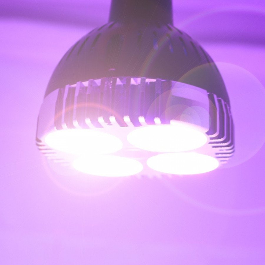 SpectraBULB X30 garden bulb E27 for plants - 30W - 2