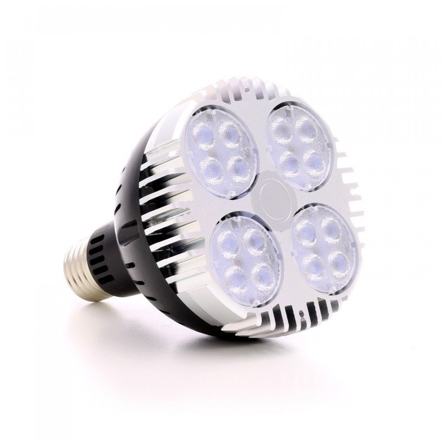 SpectraBULB X30 garden bulb E27 for plants - 30W - 3