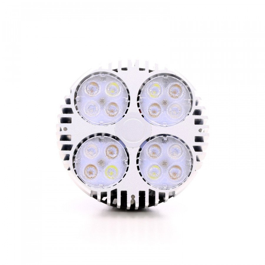 SpectraBULB X30 garden bulb E27 for plants - 30W - 5