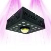 LED horticultural lamp for growth and flowering - SpectraPANEL X160 - 160W - CREE and OSRAM