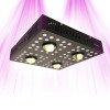 LED horticultural lamp for growth and flowering - SpectraPANEL X640 - 640W - CREE and OSRAM