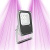 LED horticultural lamp 10W - GVL SPOT V4 SLIM - Lighting for green plants and plant walls GreenVisuaLED - 1