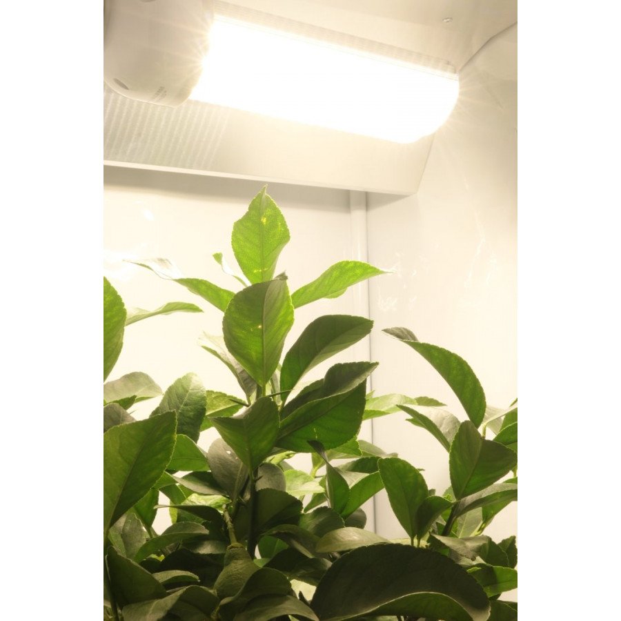 SpectraBULB X55 - 55W Horticultural LED Bulb with Plug E40 - 4