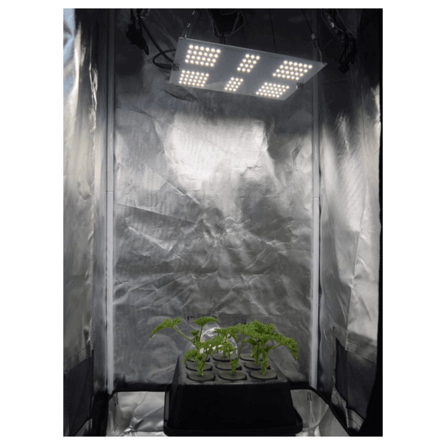 HLG 65 V2 - LED Horticultural Lamp - 4000K Horticulture Lighting Group - 5