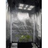 HLG 65 V2 - LED Horticultural Lamp - 4000K Horticulture Lighting Group - 5