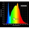 HLG 65 V2 - LED Horticultural Lamp - 4000K Horticulture Lighting Group - 6