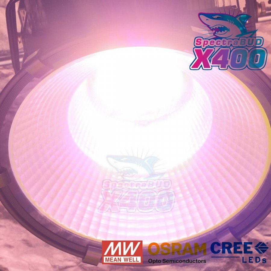 SpectraBUD X400 - LED horticultural lighting for greenhouses and growing rooms Bloomled - 3