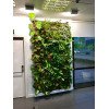 LED SpotLight 40W - LED lamp ideal for green walls - LEDs CREE GreenVisuaLED - 5