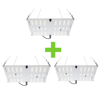 Pack x3 HLG 65 V2 Horticulture Lighting Group - 1