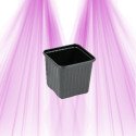 Sowing bucket - 7 x 7 x 8cm (unit) - 1