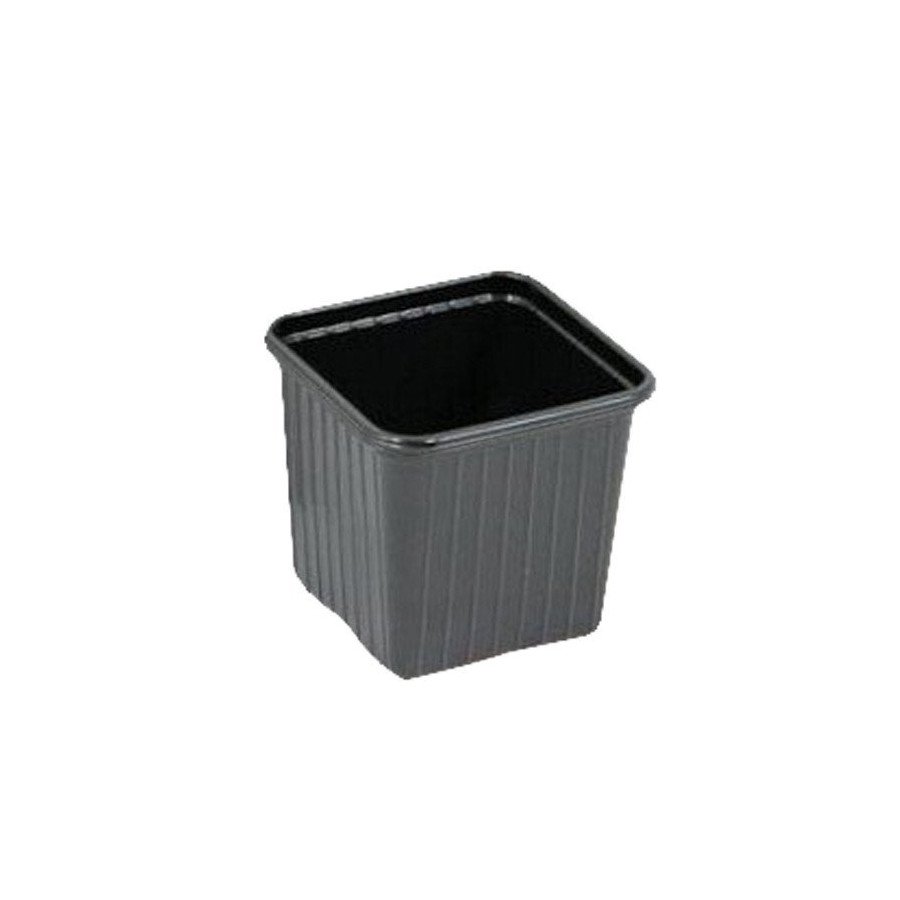 Sowing bucket - 7 x 7 x 8cm (unit) - 2
