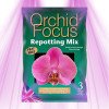 Orchid substrate 3L - Orchid Focus - 1