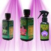 Orchid Focus Pack