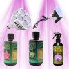 Orchid starter pack