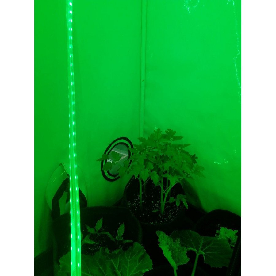 Eclairage nocturne pour vos plante - Ruban Led - 9W par mètre - 1m - 5