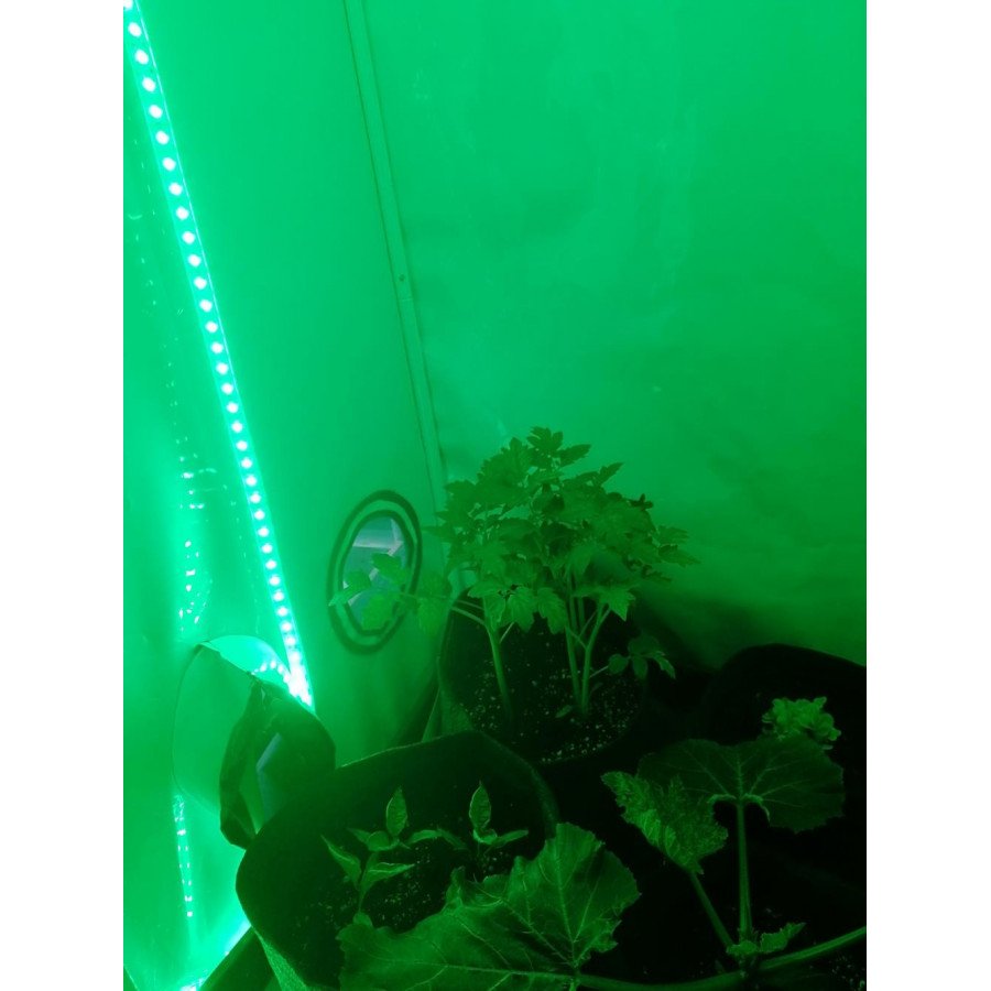 Green Led ribbon pack - Night lighting for your plants - 9W per meter ...