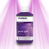 Plagron Pure Zym - Accelerates the absorption of nutrients Plagron - 3