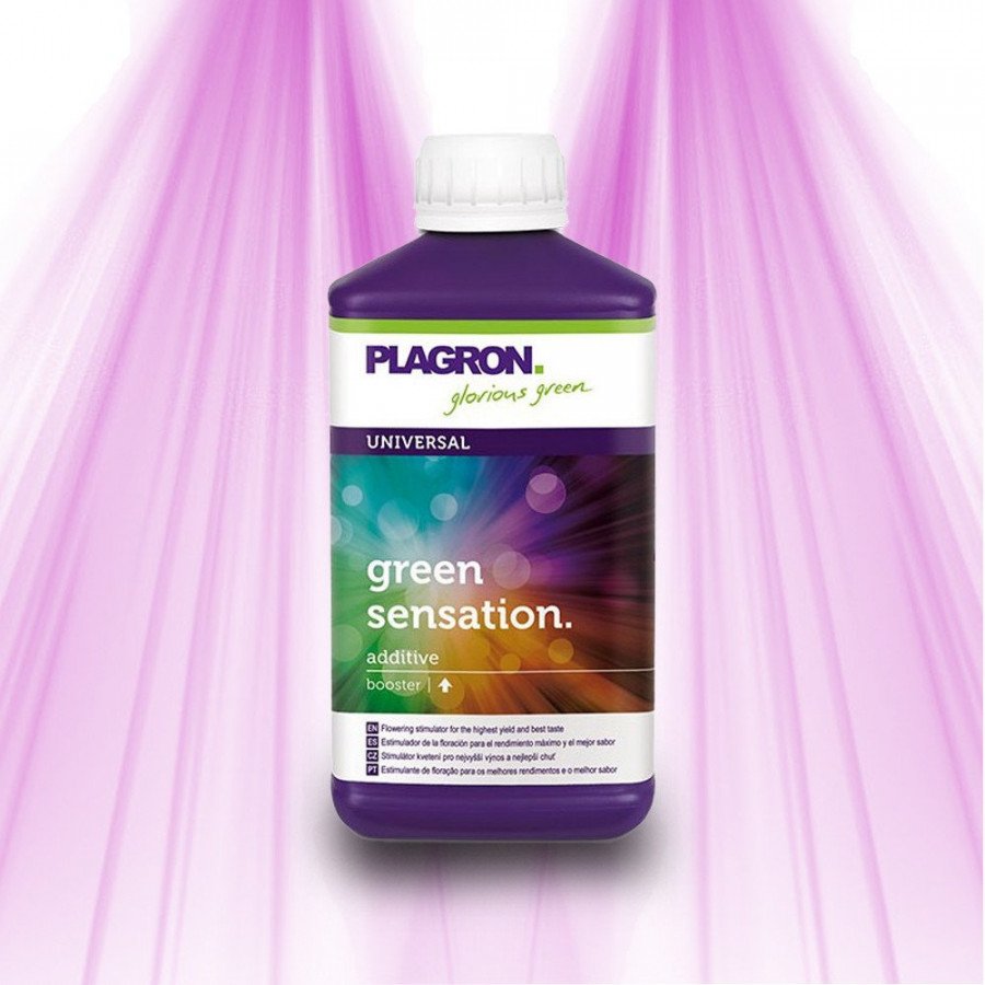 Plagron Green Sensation - 4-in-1: Improves flowering, resistance, soil and yield Plagron - 4