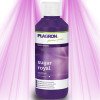 Plagron Sugar Royal - Improves taste and shortens the cultivation period Plagron - 2