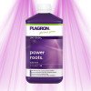 Plagron Power Roots - Stimulates root formation and boosts resistance Plagron - 1