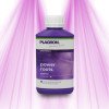 Plagron Power Roots - Stimulates root formation and boosts resistance Plagron - 4