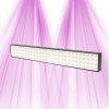 TM 60cm 50W - LED horticultural lighting for terrariums - TerraLED TerraLED - 1