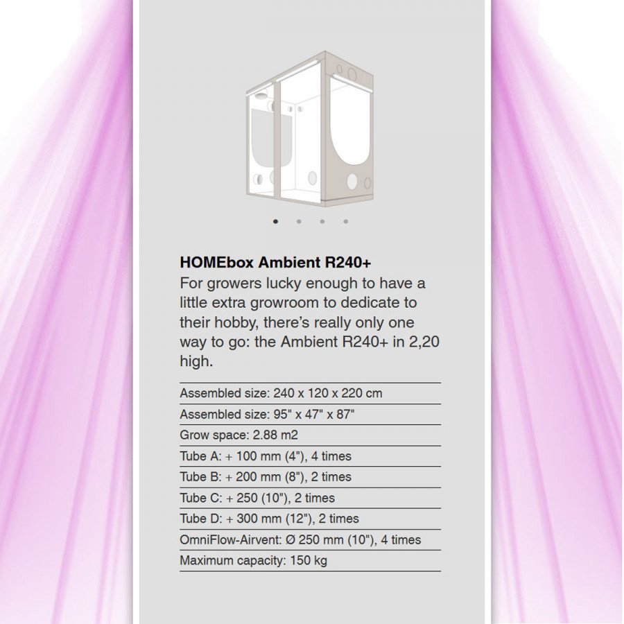 Homebox Ambient AR 240+ - Grow Room - 240x120x220 cm HomeBox - 4