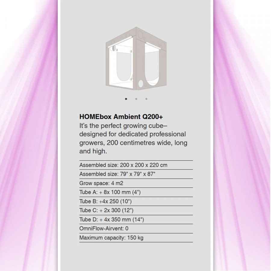 Homebox Ambient AQ 200+ - Grow Room - 200x200x220 cm HomeBox - 2