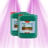 Canna AQUA Flores A + B CANNA - 2