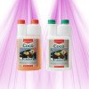 Canna COCO A+B