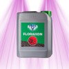 HESI Flowering Hesi - 2