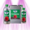 HESI Flowering Hesi - 3