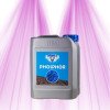 HESI PHOSPHOR fertilizer - Intensify the flowering of your floral plants Hesi - 4