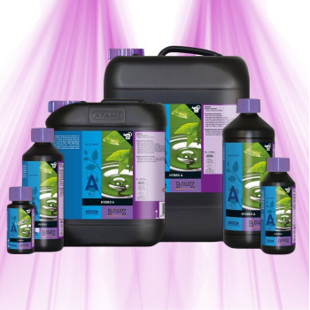 ATAMI B'Cuzz Hydro Fertilizer - Nutrition A + B ATAMI - 1