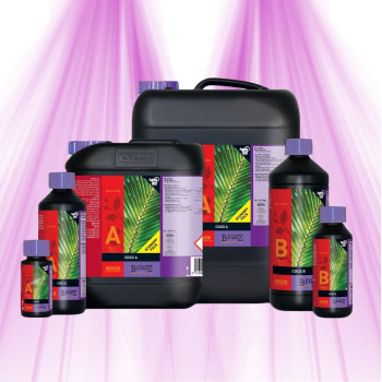 ATAMI B'Cuzz Coco Nutrition A + B Fertilizer ATAMI - 1