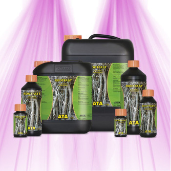 Root Booster - ROOTFAST - ATAMI