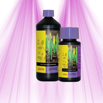 ATAMI B'cuzz Bloom - maximize cultivation in soil