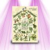 An organic vegetable garden in my house - Mama Editions