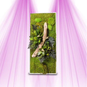 Plant Frame - Naturalys - Rectangular L