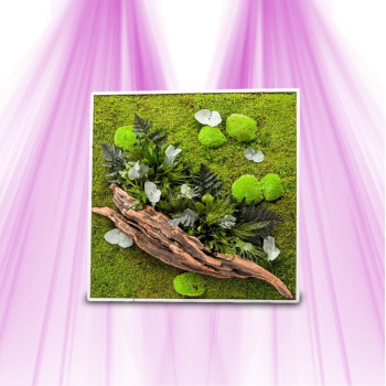 Plant Frame - Naturalys - Square XL