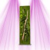 Plant Frame - Naturalys - Panoramic XL