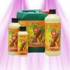 Bud XL - Flavor enhancer - House & Garden
