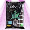 Root Riot - 24 germination and cuttings cubes - GROWTH TECHNOLOGY Growth Technology - 1