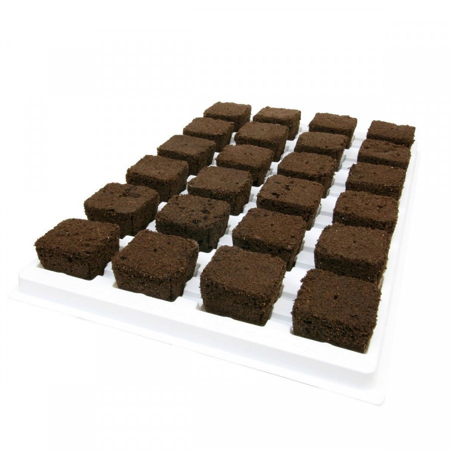 Root Riot - 24 germination and cuttings cubes - GROWTH TECHNOLOGY Growth Technology - 2