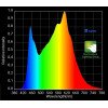 HLG 600 BSpec - LED Grow Light Horticultural Lighting Horticulture Lighting Group - 3
