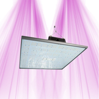 PURELED Q150 - Horticultural LED panel growth and flowering