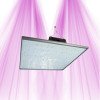PURELED Q150 - Horticultural LED panel growth and flowering