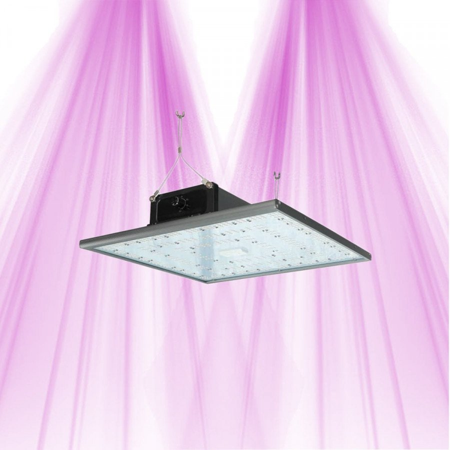 PURELED Q150 - LED Panel Horticultural growth and flowering Pure LED - 2