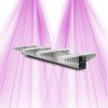 SANlight EVO 4 - 120 - 255W