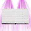 Quantum Board 288 - Quantum Board